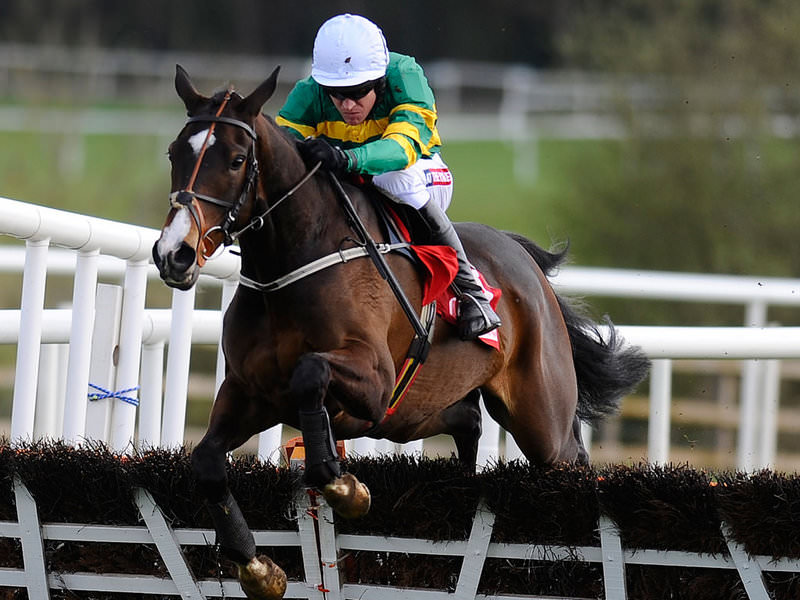 Champion Hurdle Festival Betting Tips