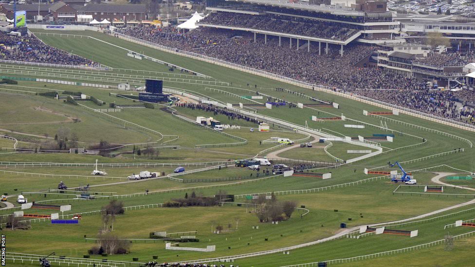 Albert Bartlett Novices' Hurdle Cheltenham Day 4 betting tips