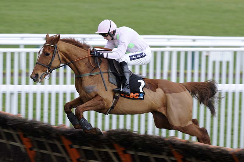 Cheltenham day 1 tips Annie Power