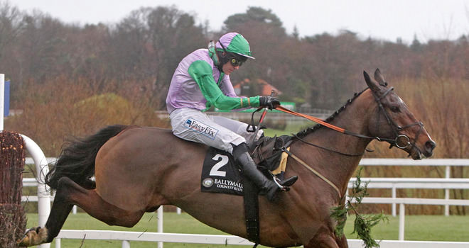 Irish Lucky 15 Betting Tips