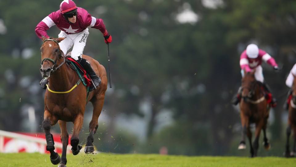 RSA Novices' Chase Expert Betting Tips