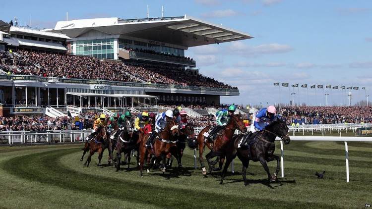 2016 Aintree Betting Stats & Trends - DAY TWO