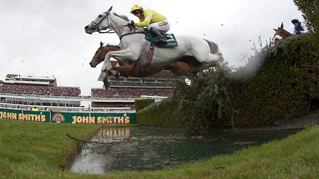 2016 Aintree Betting Stats & Trends - DAY ONE