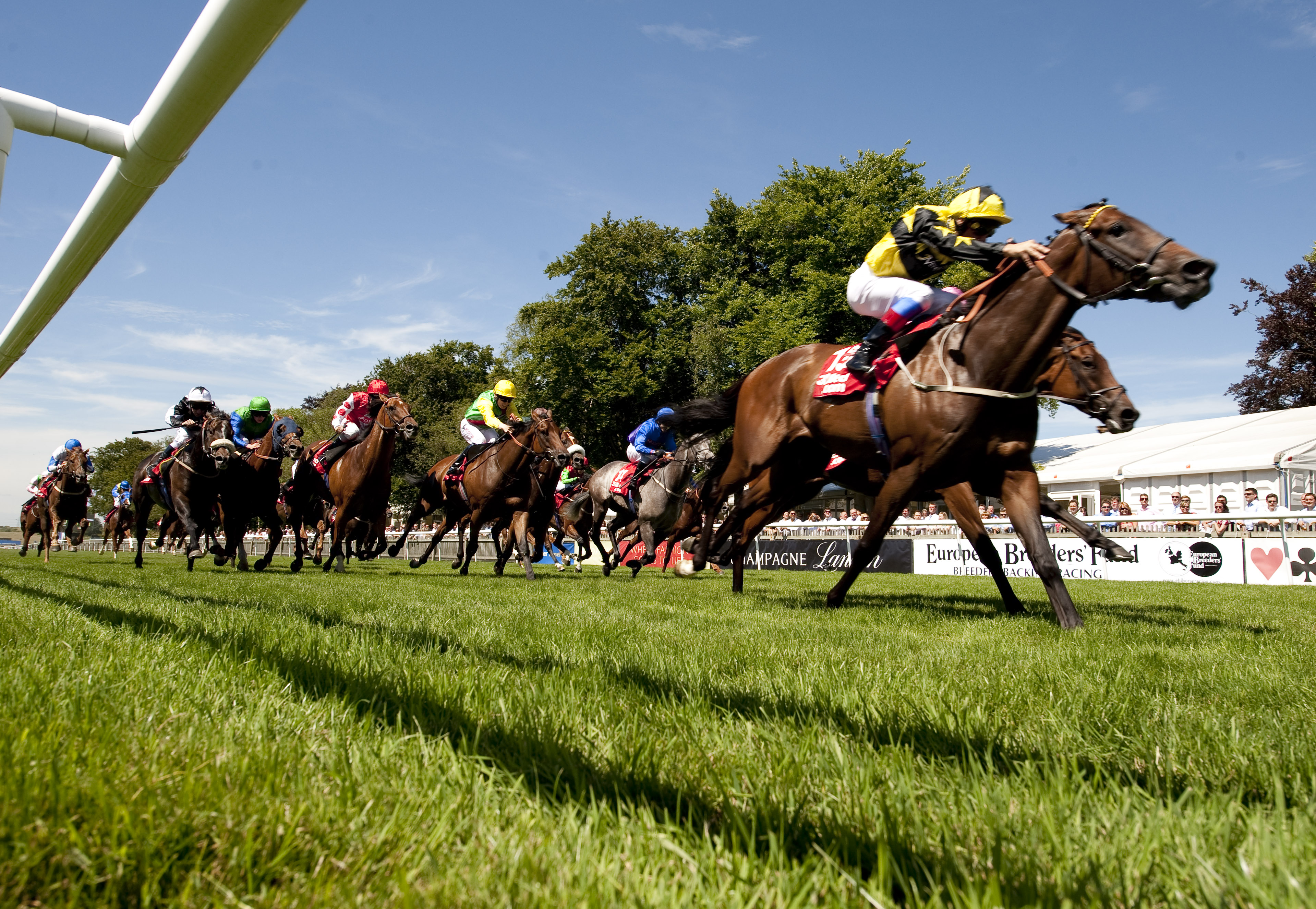 Saturday's Free Horse Racing Tips and Trends: 2nd April -
